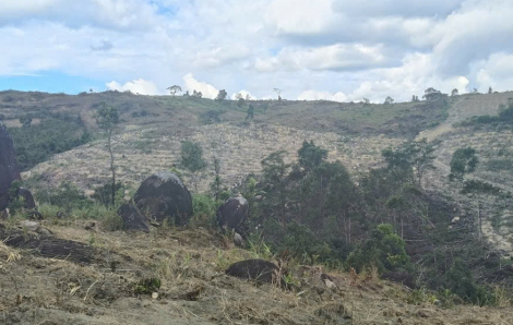 4 trường hợp lấn chiếm hơn 8.000m2 đất lâm nghiệp trái phép ở Đắk Lắk bị xử lý