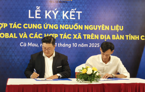 Doanh nghiệp bao tiêu, xuất khẩu cua biển Cà Mau