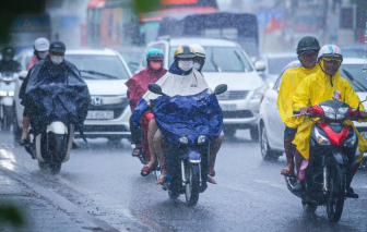 Thời tiết TPHCM ngày 12/10: Mưa dông chủ yếu vào chiều tối