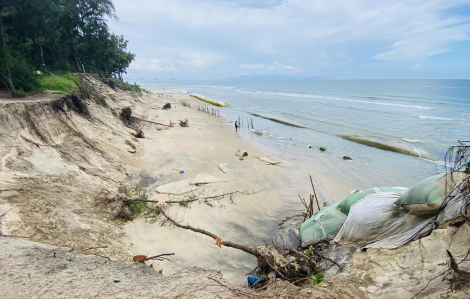 Bờ biển du lịch Hội An tiếp tục sạt lở mạnh về phía bắc