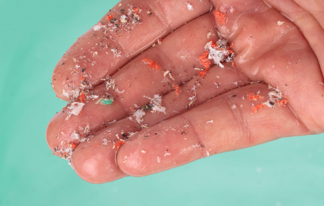 Nguy cơ bệnh tật từ vi nhựa trong cơ thể người