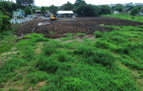 TPHCM hồi sinh vùng đầm lầy thành công viên