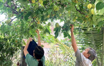 Mất cha, còn chú