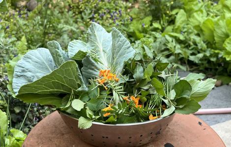 Đi chợ, mẹ cũng không mang về túi ni lông