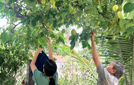 Mất cha, còn chú