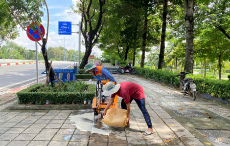 TPHCM bắt đầu thi công làn riêng cho xe đạp