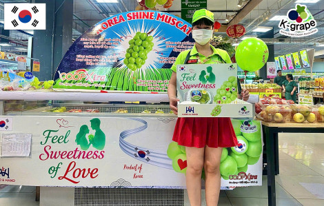 Cảm nhận vị ngọt ngào của tình yêu cùng nho Korea Shine Muscat