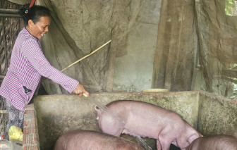 Hơn 7,1 tỉ đồng giúp phụ nữ An Giang cải thiện cuộc sống và bảo vệ môi trường