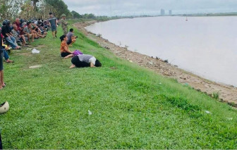 Khi tình phụ tử bị nhấn chìm