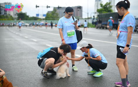 Asia Pet Hospital - Nhà tài trợ kim cương Run For Heart 2025