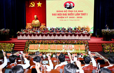 Đưa Cà Mau trở thành cực tăng trưởng của khu vực Đồng bằng sông Cửu Long