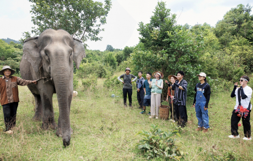 Truyền hình thực tế góp phần lan tỏa nhiều giá trị tích cực