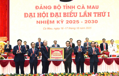 Ông Nguyễn Hồ Hải giữ chức Bí thư Tỉnh ủy Cà Mau