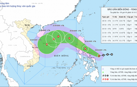 Chiều tối mai (19/10) áp thấp nhiệt đới sẽ mạnh lên thành bão