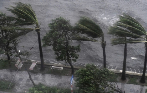 Tin mới nhất về áp thấp nhiệt đới sắp mạnh lên thành bão, gần vào Biển Đông