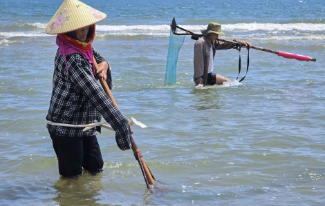 Phụ nữ làng biển dầm mình mưu sinh bên chân sóng