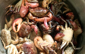 Thèm tô bún mắm cua mẹ nấu