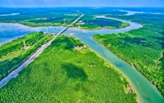 Tựa rừng, hướng biển, kết nối bằng tàu cao tốc: Công thức vàng cho đô thị đáng sống nhất Việt Nam