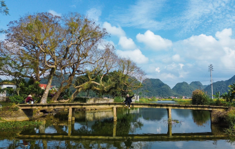 Khám phá Quỳnh Sơn - Làng Du lịch tốt nhất thế giới 2025