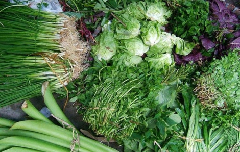 Rau Việt, sợ cũng phải ăn