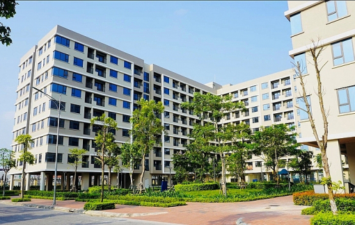 Giấc mơ an cư trở thành điều xa xỉ với thế hệ không có bệ đỡ