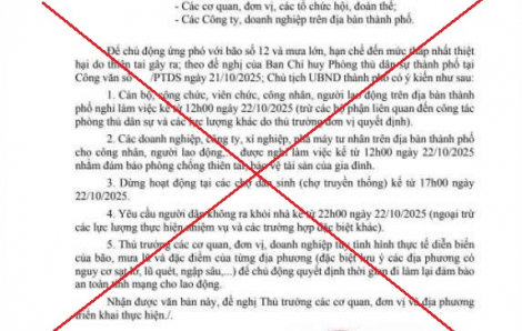 Đà Nẵng không chủ trương chỉ đạo nghỉ làm việc do bão số 12