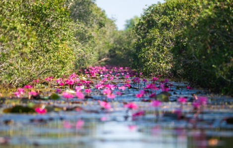 Những điều không nên bỏ qua khi du lịch miền Tây mùa này