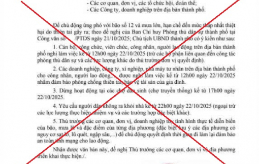 Đà Nẵng không chủ trương chỉ đạo nghỉ làm việc do bão số 12