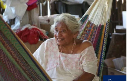 WHO cảnh báo các nước đang phát triển cần tăng cường kiểm soát bệnh nhiệt đới bị lãng quên