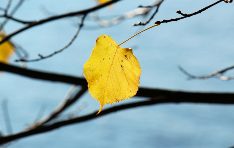 Một lần gặp lại quá khứ