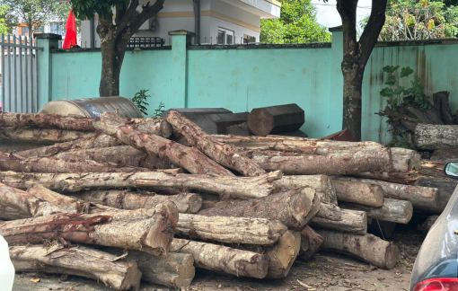 Làm rõ vụ phá rừng phòng hộ môi trường ở Đắk Lắk