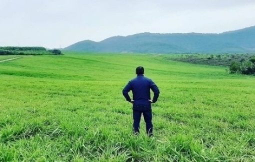 Vợ đòi bỏ phố về quê