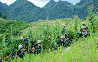 Sức hút từ Chiến sĩ quả cảm