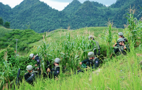 Sức hút từ Chiến sĩ quả cảm