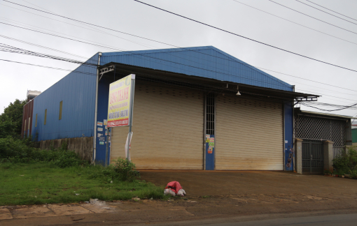 Đắk Lắk: Hàng loạt kho sầu riêng im lìm vào cuối vụ