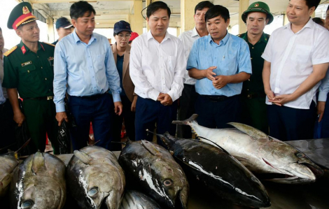 Bí thư Tỉnh ủy Đắk Lắk Lương Nguyễn Minh Triết kiểm tra công tác chống khai thác IUU