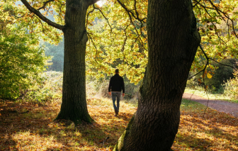 Đô thị hóa, công nghệ và sự lãng quên thiên nhiên ở các nước phát triển