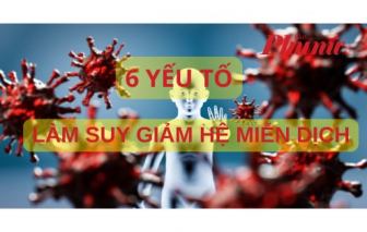 Infographic: 6 yếu tố phá hủy hệ miễn dịch