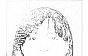 Lừa đảo chạy việc, chiếm đoạt hơn 1,3 tỉ đồng