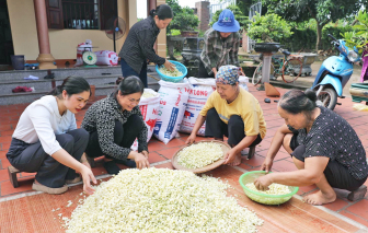 Nữ kỹ sư “đánh thức” sản vật, tạo việc làm cho phụ nữ nông thôn