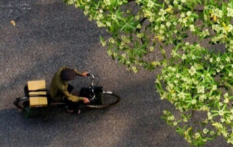 Quà quê của cha