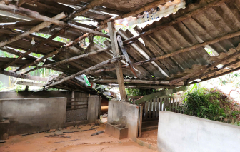 1 quả núi ở Quảng Ngãi có thể lở bất cứ lúc nào, sơ tán khẩn cấp 43 hộ dân