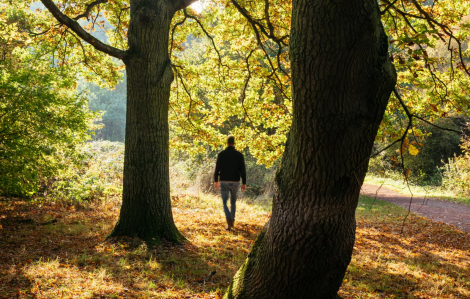 Đô thị hóa, công nghệ và sự lãng quên thiên nhiên ở các nước phát triển