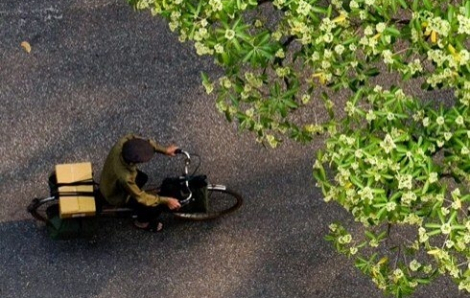 Quà quê của cha