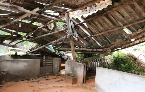 1 quả núi ở Quảng Ngãi có thể lở bất cứ lúc nào, sơ tán khẩn cấp 43 hộ dân