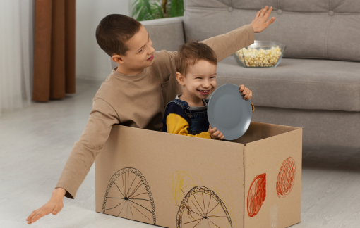 Chỉ đường cho hươu: 13 tuổi rồi mà vẫn giành đồ chơi với em