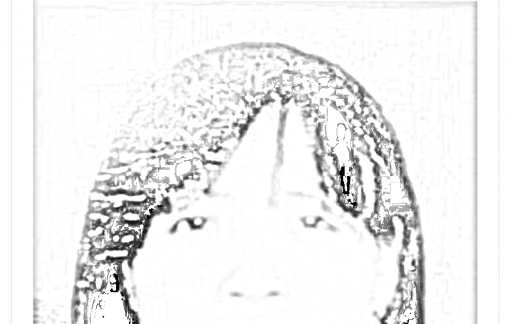 Lừa đảo chạy việc, chiếm đoạt hơn 1,3 tỉ đồng