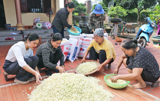 Nữ kỹ sư “đánh thức” sản vật, tạo việc làm cho phụ nữ nông thôn
