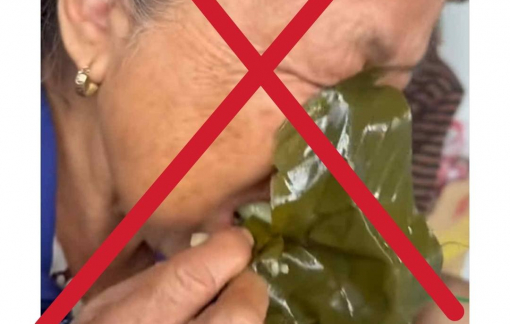 Thông tin bà cụ 'mấy ngày không ăn uống trong mùa lụt' ở Đà Nẵng là sai sự thật