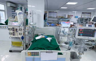 Bé gái 9 tuổi bị suy đa tạng do “ong sát thủ” đốt hơn 50 nốt